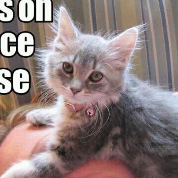 Meet your Posher, Barbara - Picture 1 of 1